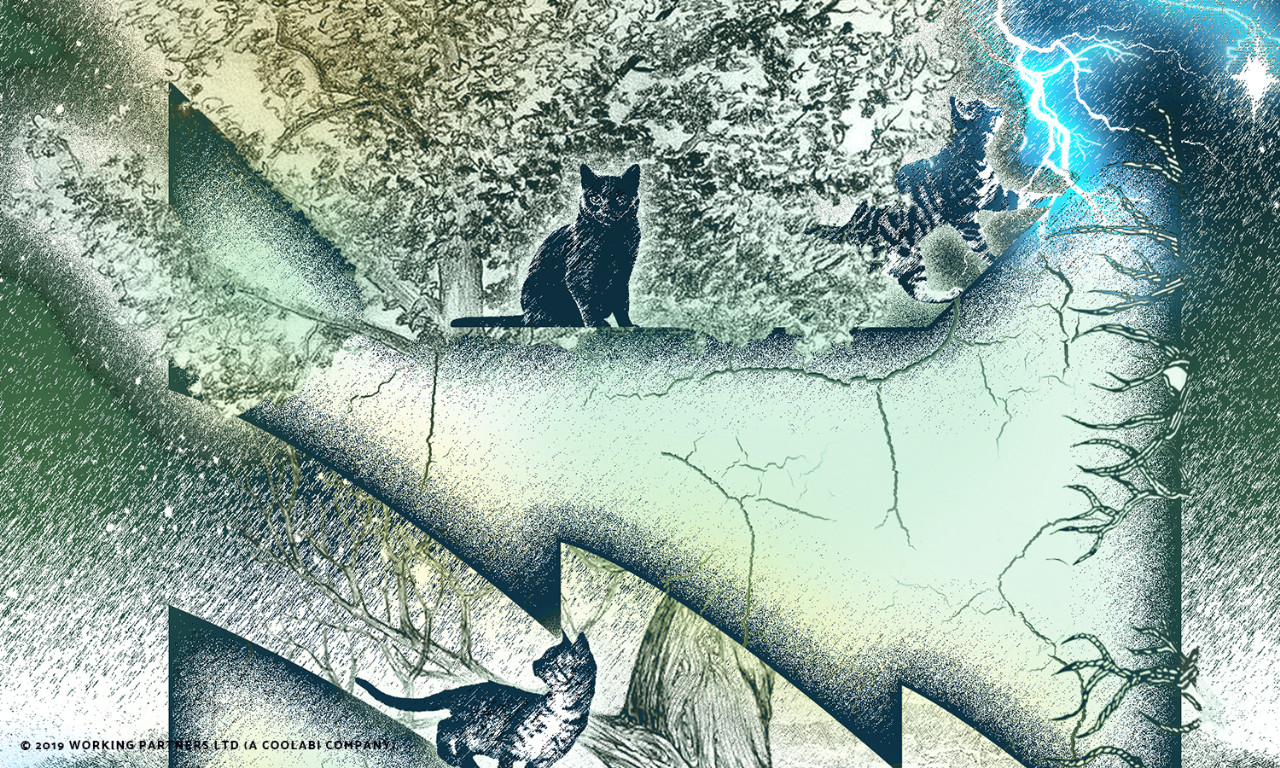 1280x768 Thunderclan Etching Icon Warrior Cats