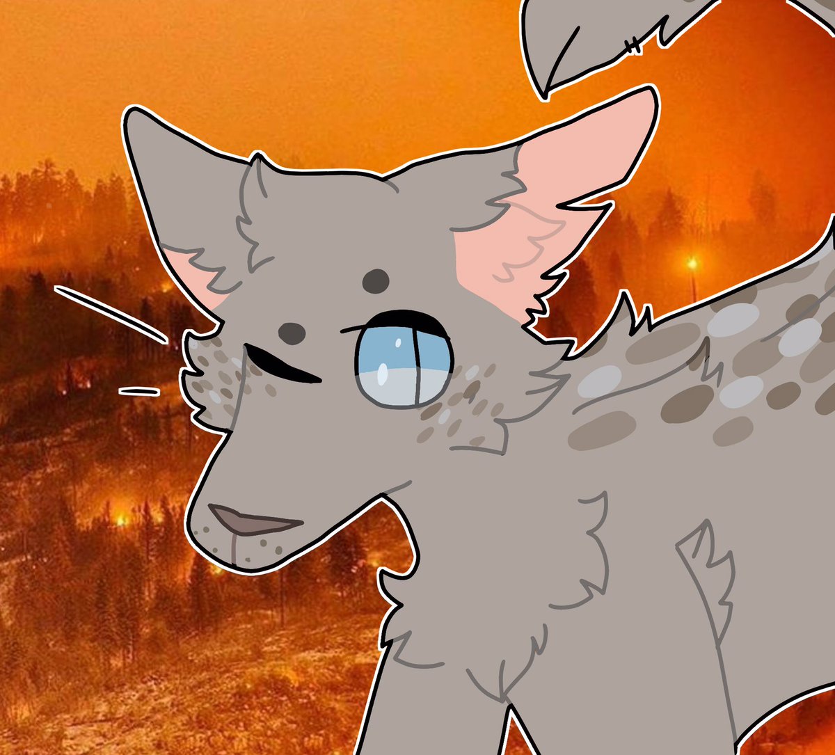 1200x1085 Iggy Plush On Twitter Just Some Warrior Cat Icons!