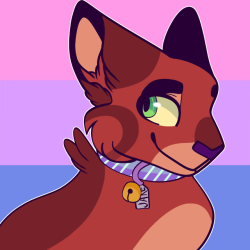 250x250 Lgbt Warrior Cats Tumblr
