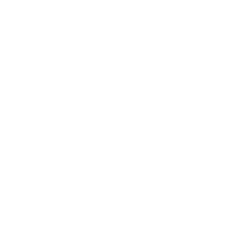 Washington State Icon