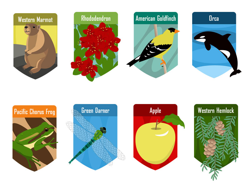 800x600 Washington State Symbols Badges