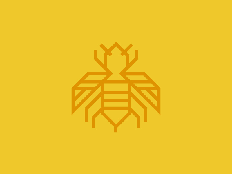 800x600 Wasp Icon