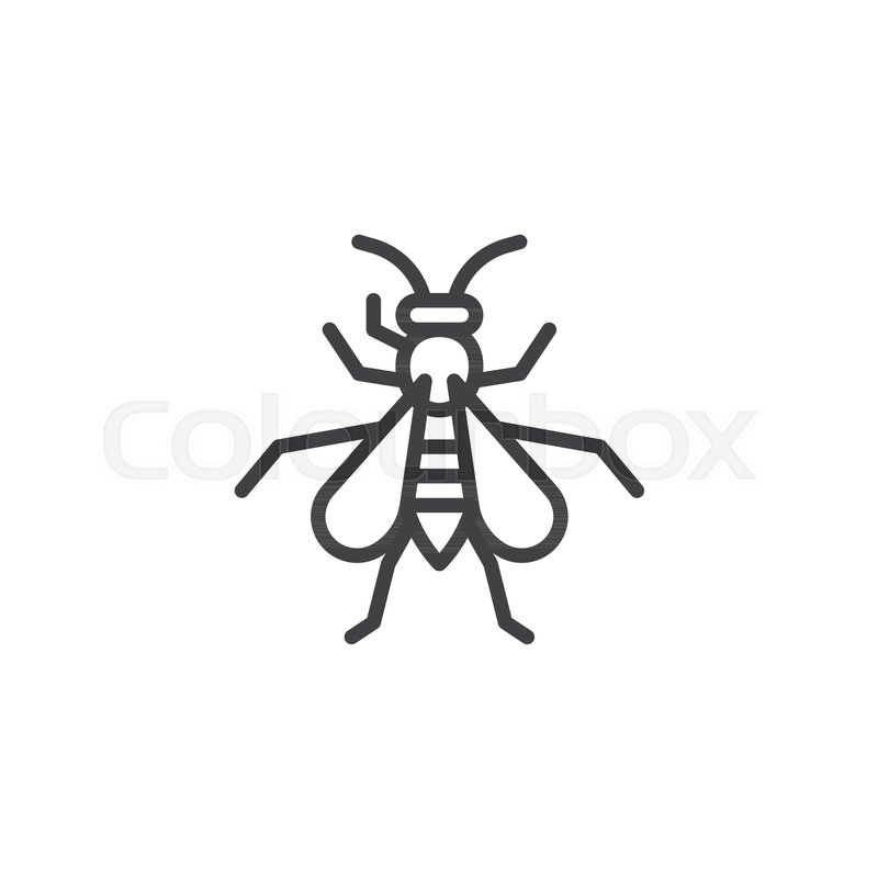 800x800 Wasp Insect Line Icon, Outline Vector Stock Vector Colourbox