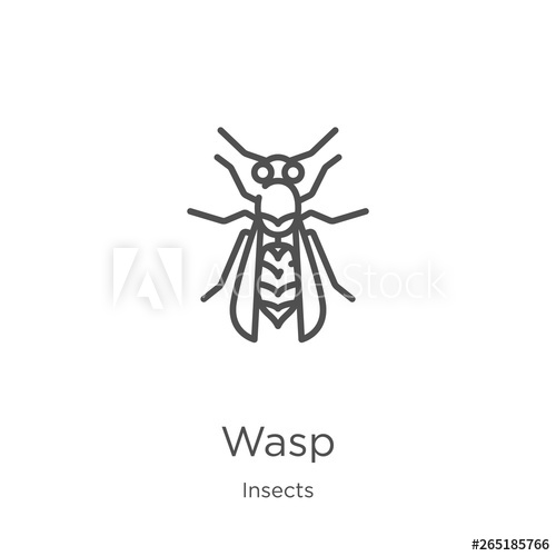 500x500 Wasp Icon Vector From Insects Collection Thin Line Wasp Outline