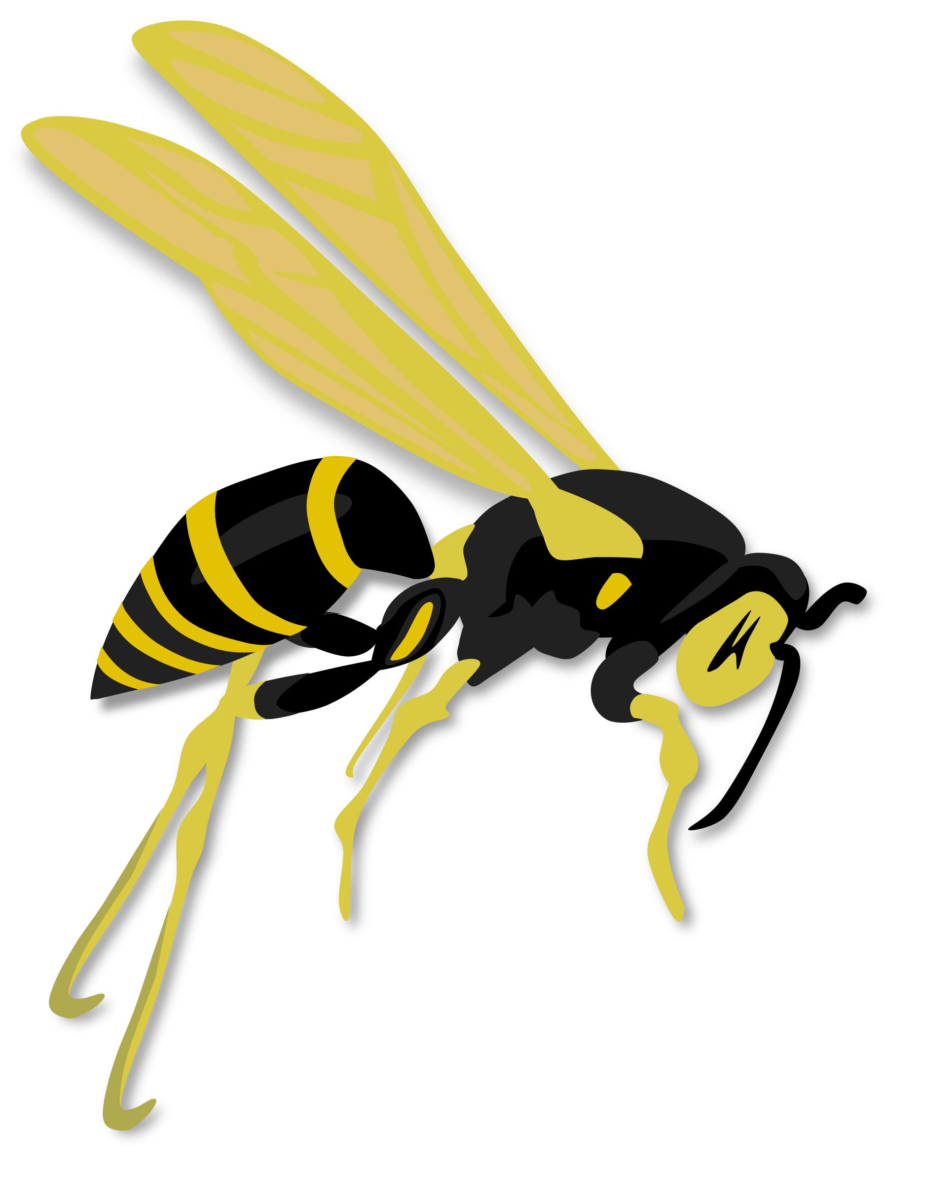 1877x2400 Flying Wasp Icons Png