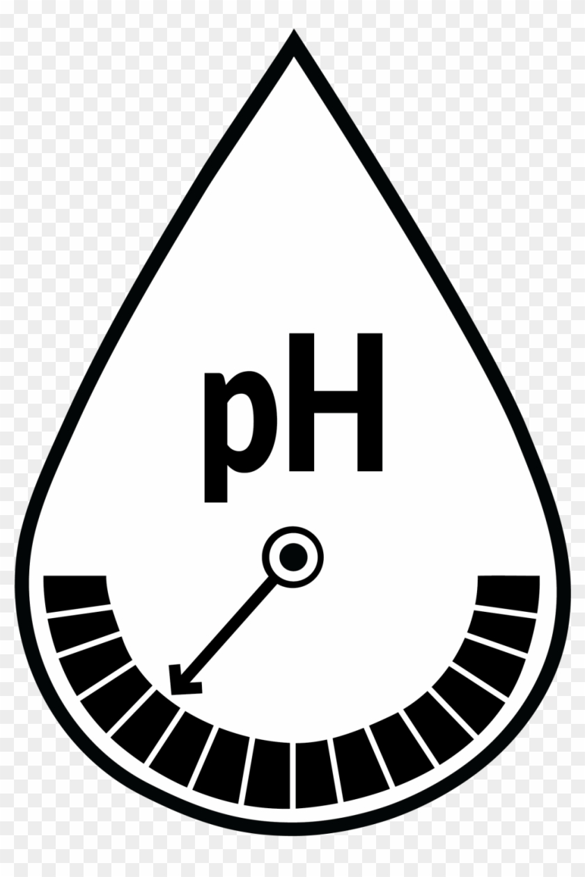 Ph Level Issues 840x1260 Ph Level Issues