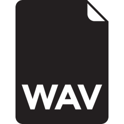 256x256 Wav, Icon
