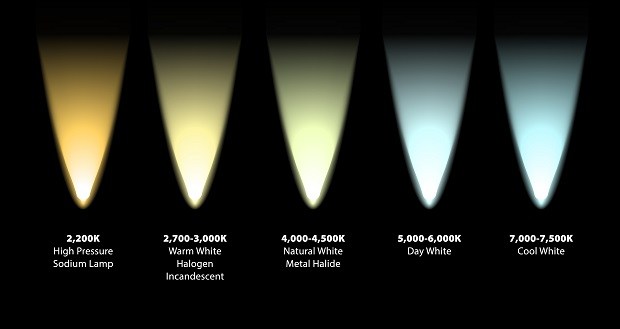 620x329 Wavelength Asid Icon