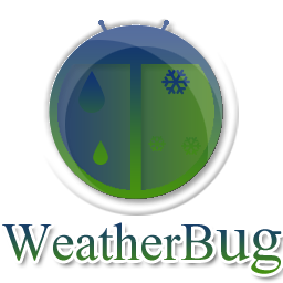 256x256 Rare Icon Request Forum Post