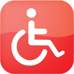 Web Red Accessibility Icon 256x256 Web Red Accessibility Icon