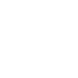 256x256 Free White Webcam Icon