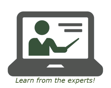 375x300 Webinar Icon Gr