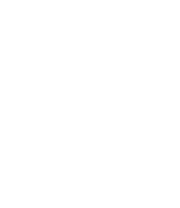 260x300 Goal Icon Webinar