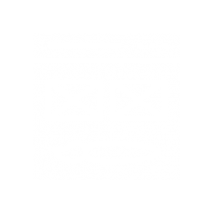 300x300 Website Design