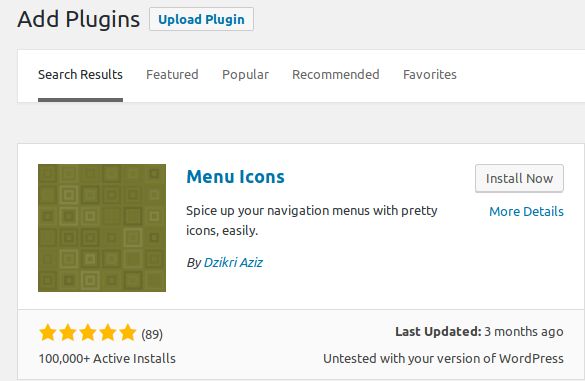 585x381 How To Add Icons In Wordpress Website Menu Menu Icons