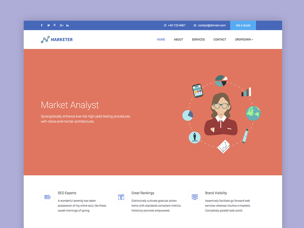 Website Template Icon