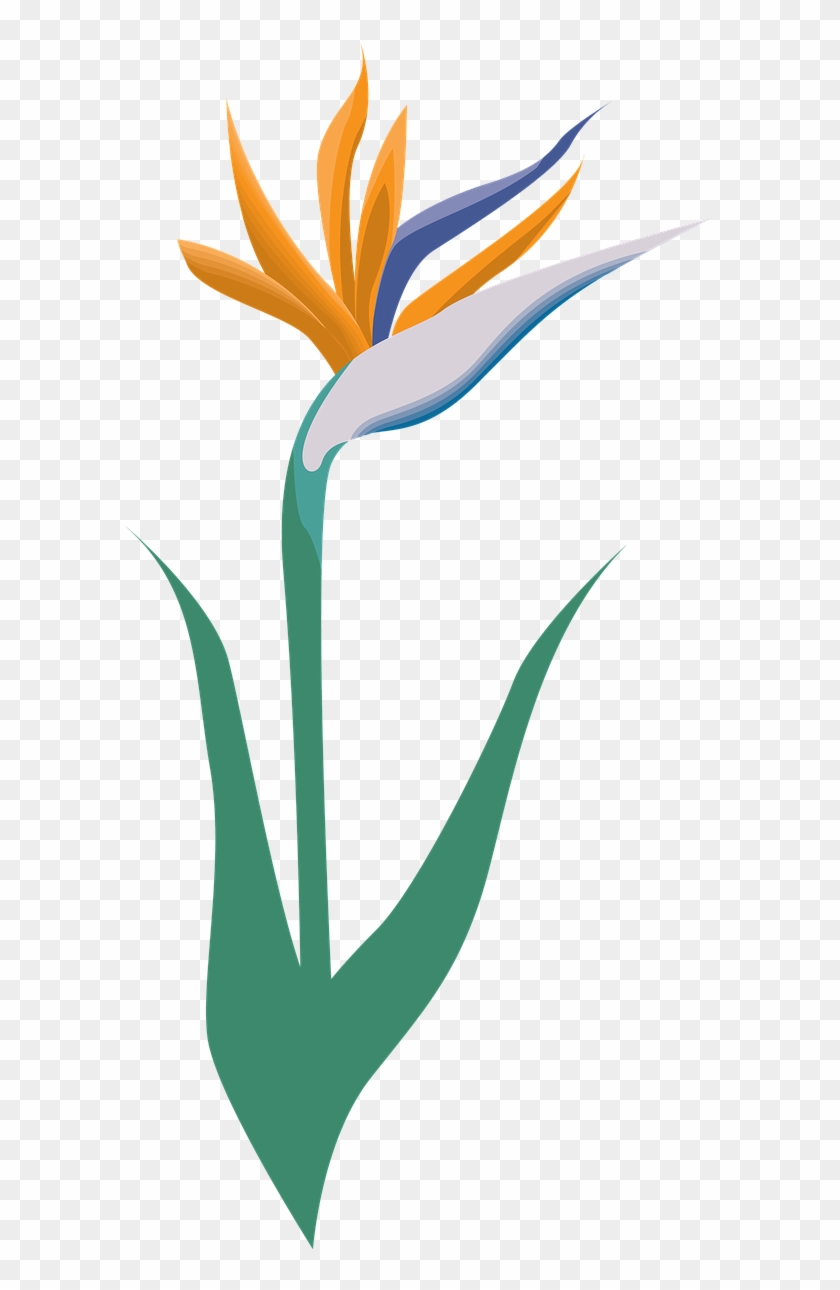 840x1290 Garden, Flower, Icon, Symbol, Blossom, Logo