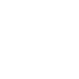 256x256 Free White Weight Icon