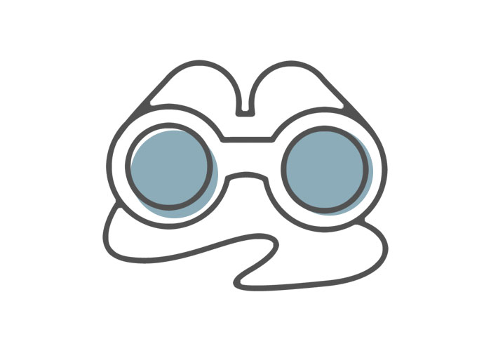 700x500 Icon Why Welfare Look