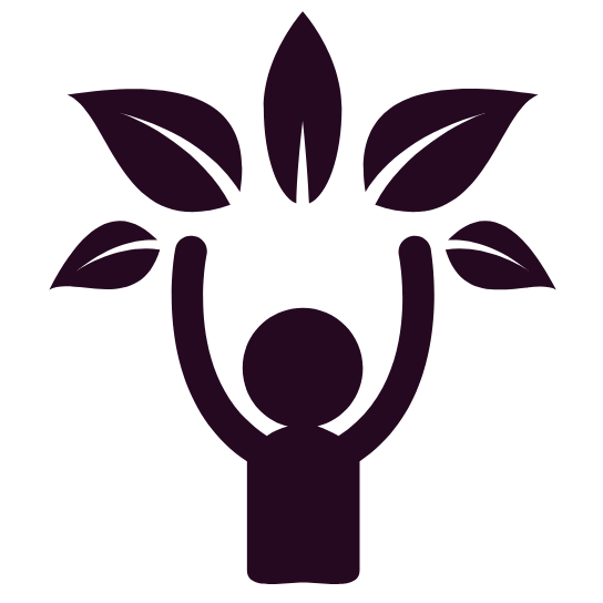 544x544 Bespoke Wellness Icon Bespoke Wellness