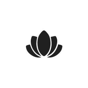 300x300 Icon Health Services