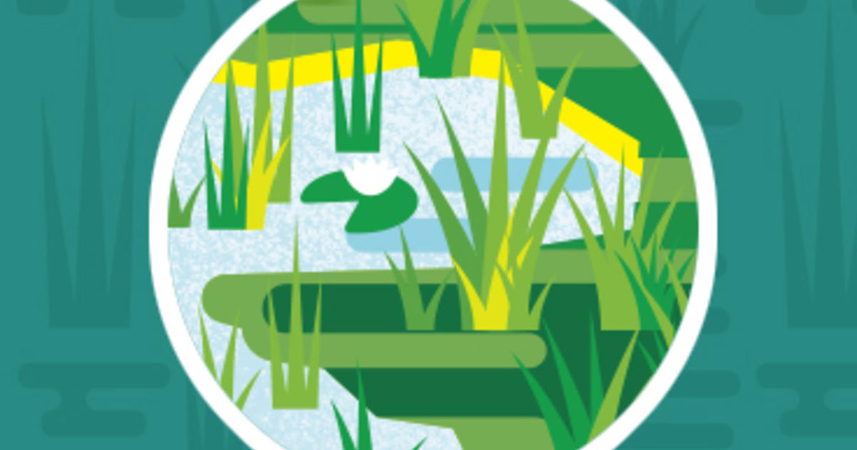 1200x630 Wetland Zapata Biosphere Reserve Amnh