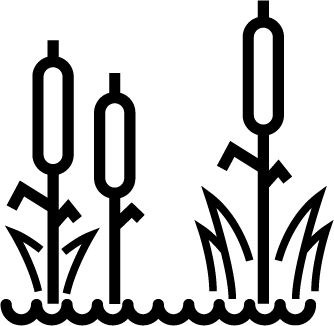 334x326 Wetlands San Juan County General Plan