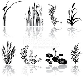 320x299 Wetlands Black Silhouette Icons With Multiple Marsh Elements