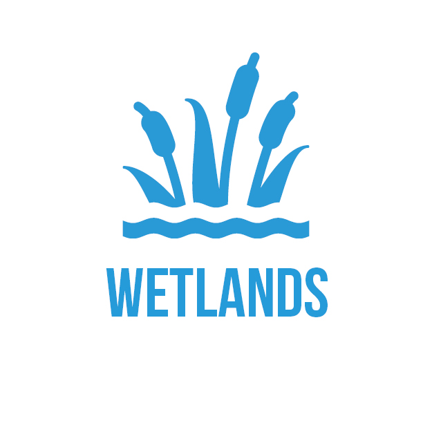625x625 Wetlands Clean Water Iowa