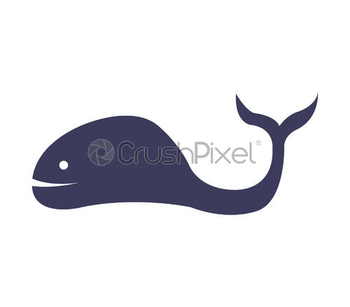 500x438 Whale Icon, Stock Vector Crushpixel