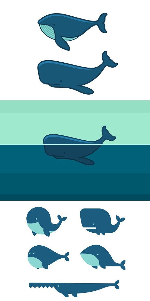 580x1158 Whale Icon Set