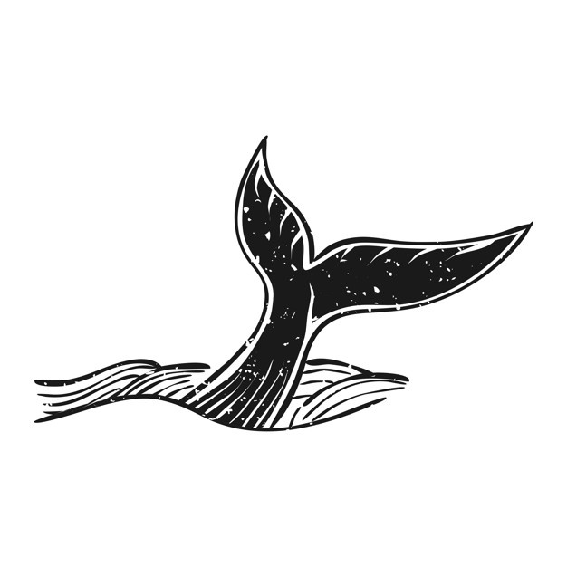 626x626 Whale Icon Vectors, Photos And Free Download
