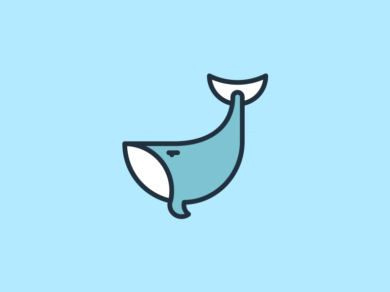 800x600 Whale Icon