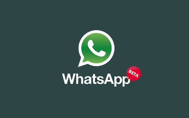 800x500 Whatsapp Group Links Now Available In Whatsapp And Quick Media