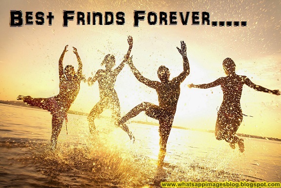 Download Friends Wallpaper For Whatsapp 576x385 Download Friends Wallpaper For Whatsapp