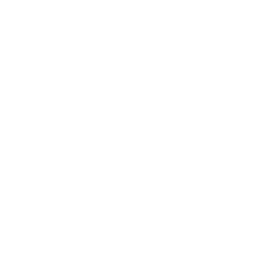 256x256 White Whatsapp Icon