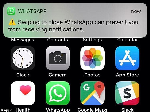 whatsapp icon notification