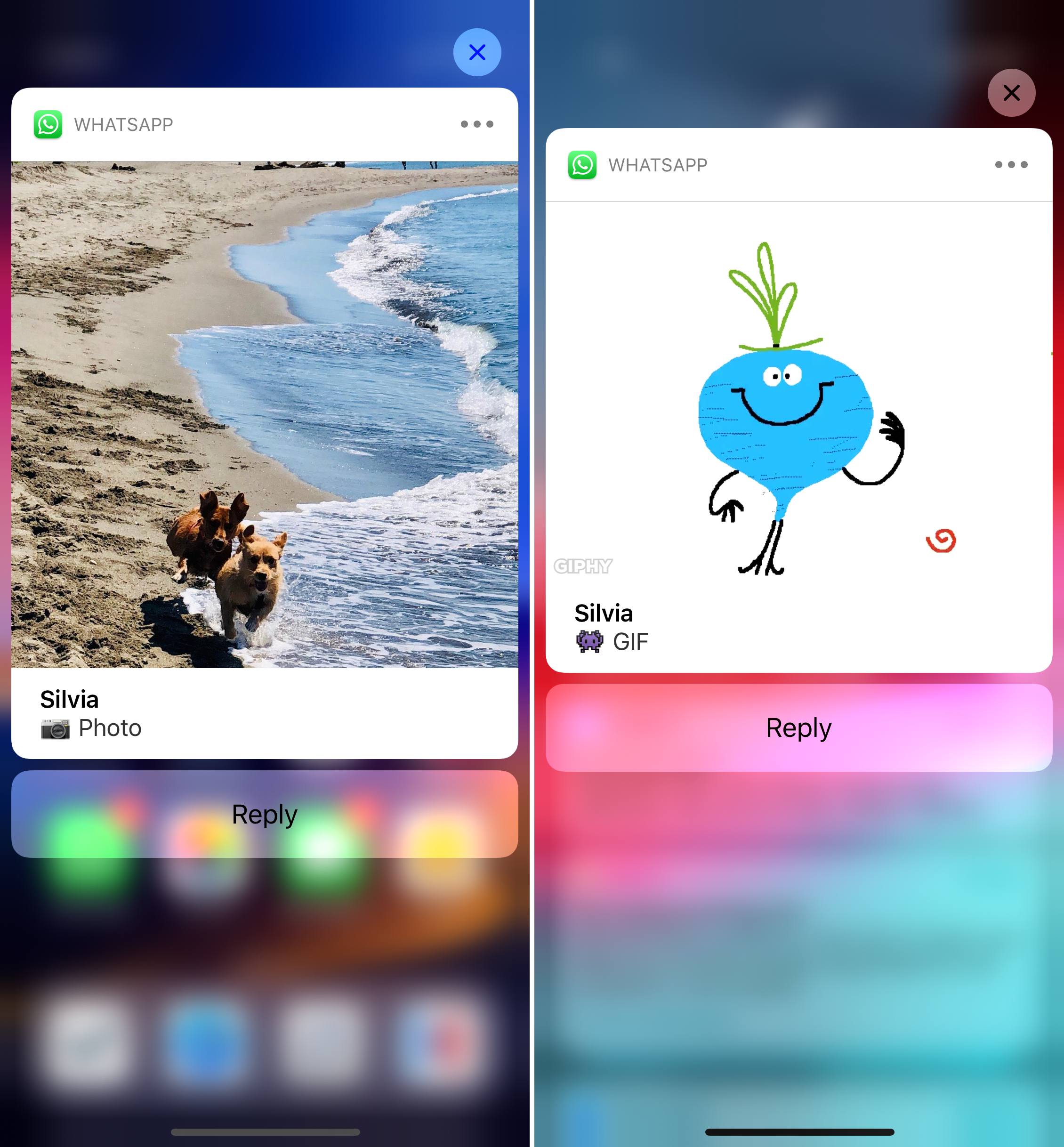 2260x2436 Whatsapp Adds Media Previews In Notifications