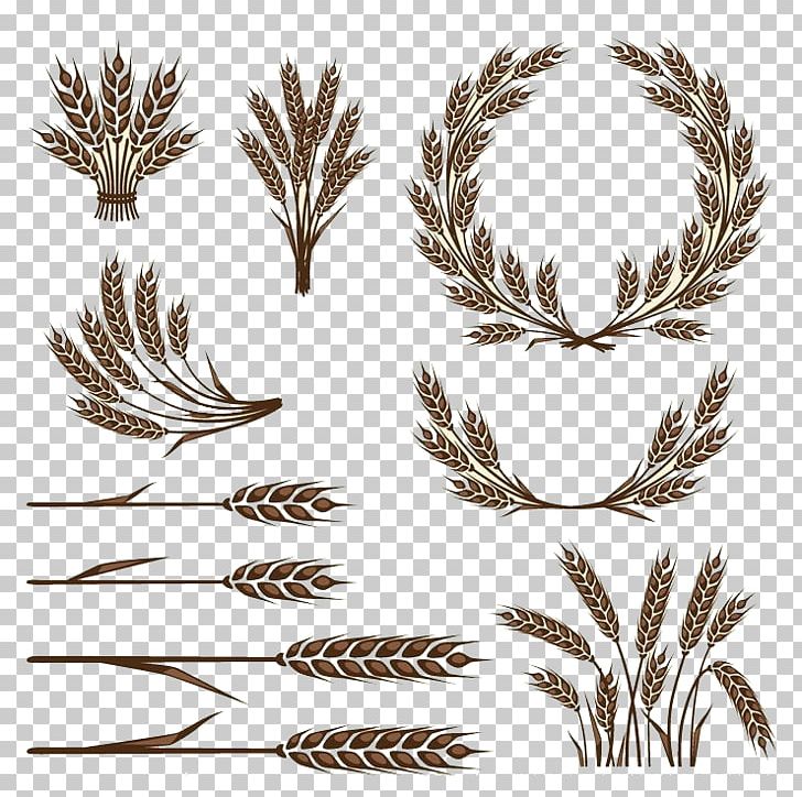 728x724 Wheat Icon Png, Clipart, Advertising, Branch, Bread, Brown Rice