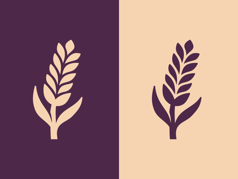 800x600 Wheat Icon