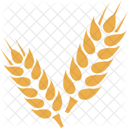 256x256 Wheat Icon Of Flat Style