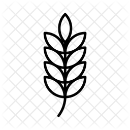 256x256 Wheat Icon Of Line Style