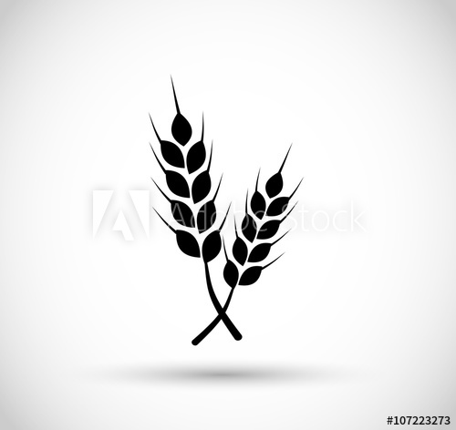 500x472 Wheat Icon Vector