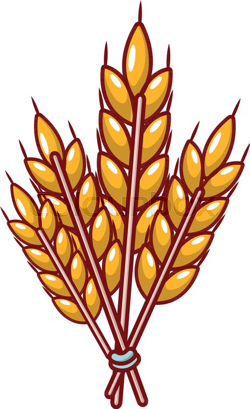 489x800 Winter Wheat Icon Cartoon Stock Vector Colourbox