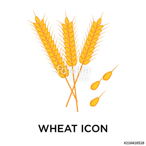 Wheat Icon at Vectorified.com | Collection of Wheat Icon free for