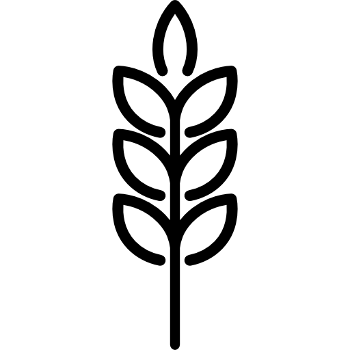 512x512 Ear Of Wheat Icons Free Download