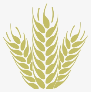 300x304 Wheat Icon Png, Transparent Wheat Icon Png Image Free Download