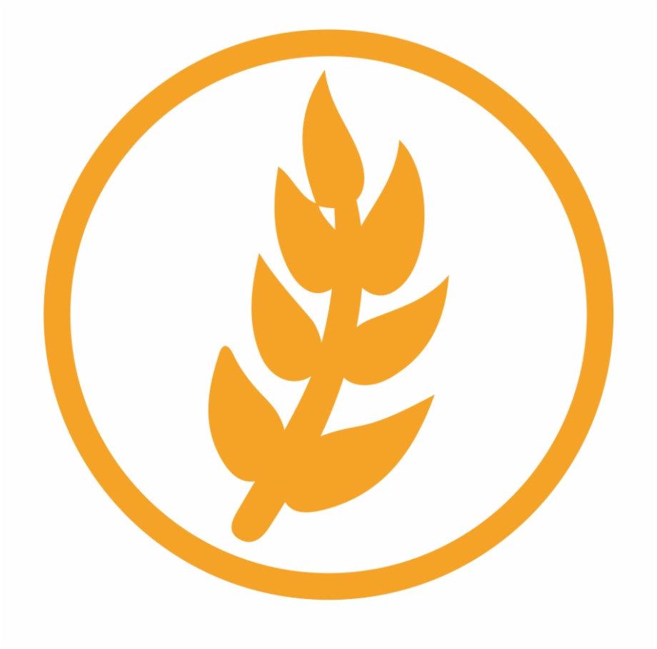 920x908 Wheat Icon Png, Transparent Png Download For Free