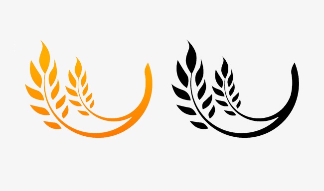 650x384 Wheat Icon Png Images In Collection
