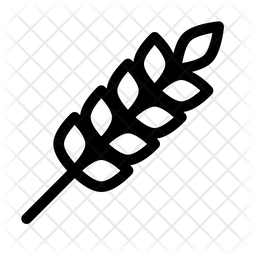 256x256 Wheat Icon Of Line Style